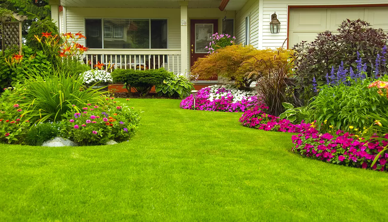 Sod Lawn Blog Carousel Image 1