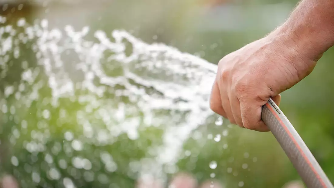 Watering image